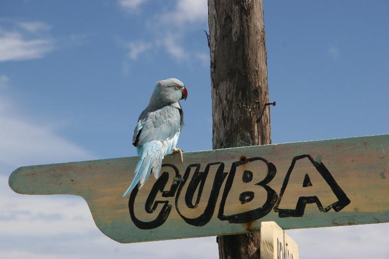 Куба турында – бер җөмлә белән