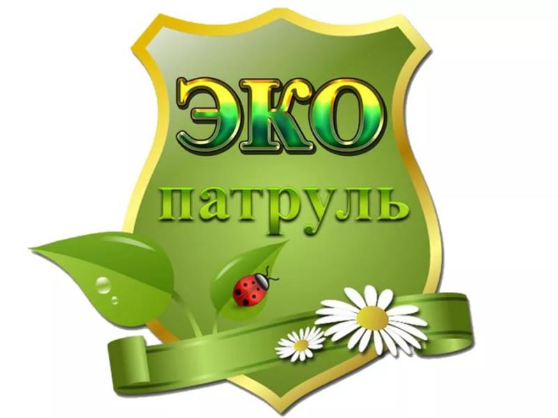 В октябре в Татарстане подведут итоги республиканского конкурса «Школьный экопатруль»