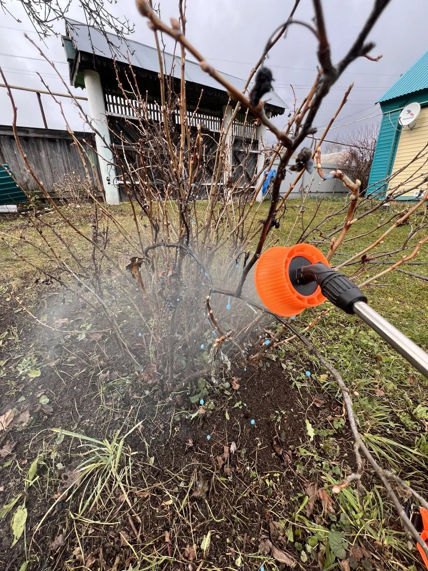 Покрауга кадәр өлгерергә: бакчадагы 7 эш