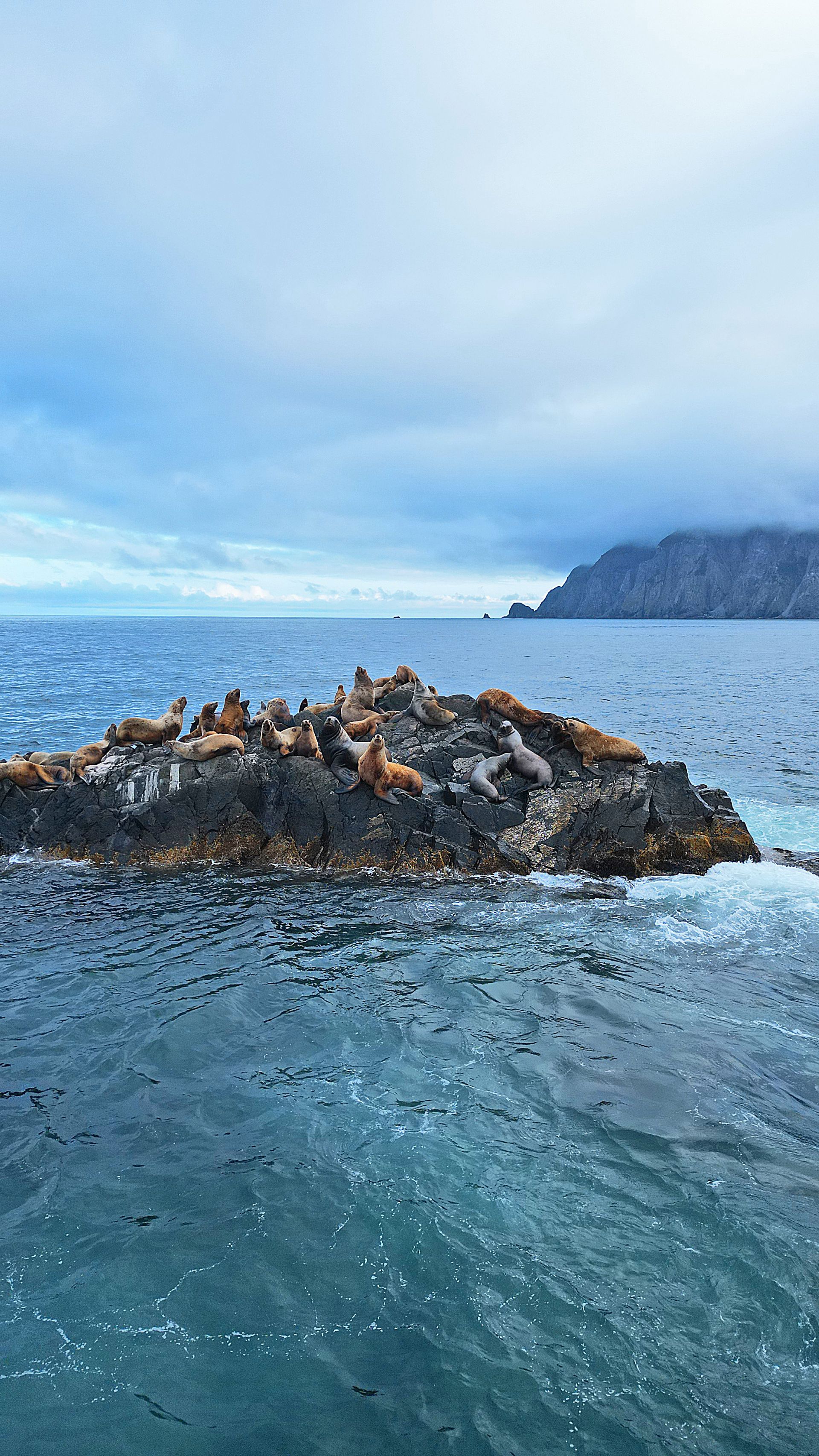 Дөнья матур! Дөнья киң!