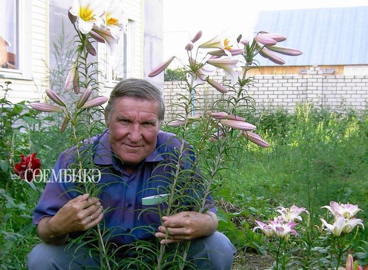 Кызыклы еллар, кызыклы шәхесләр-14