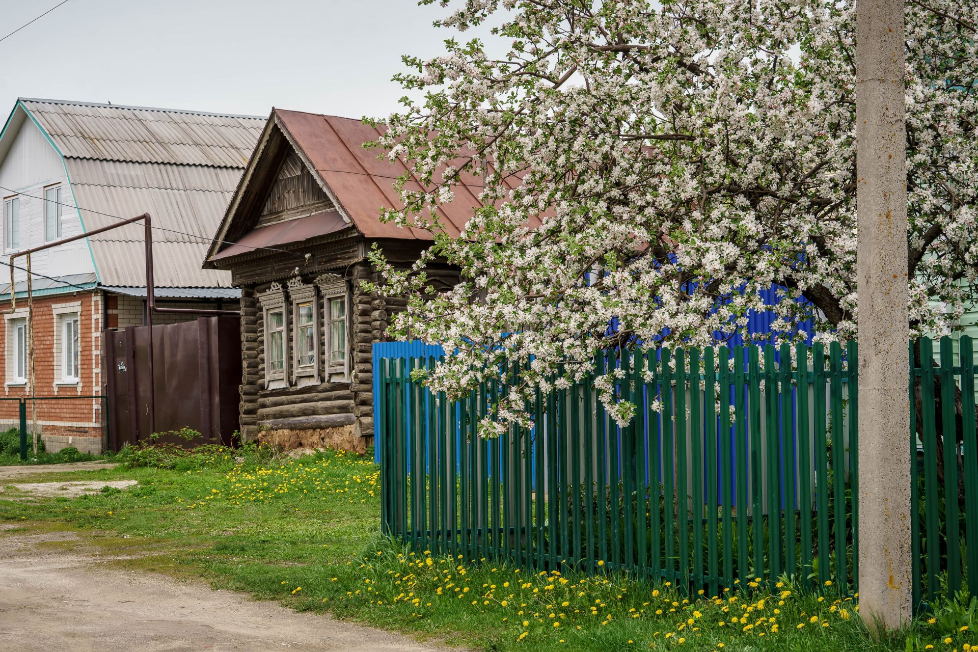 «Американ» кодалар