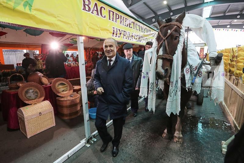 Казанның авыл хуҗалыгы ярминкәсендә Татарстанның белем бирү оешмалары катнашты